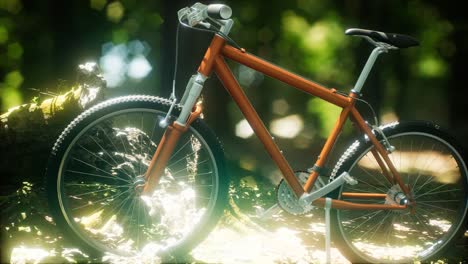 mountain bike on the forest path