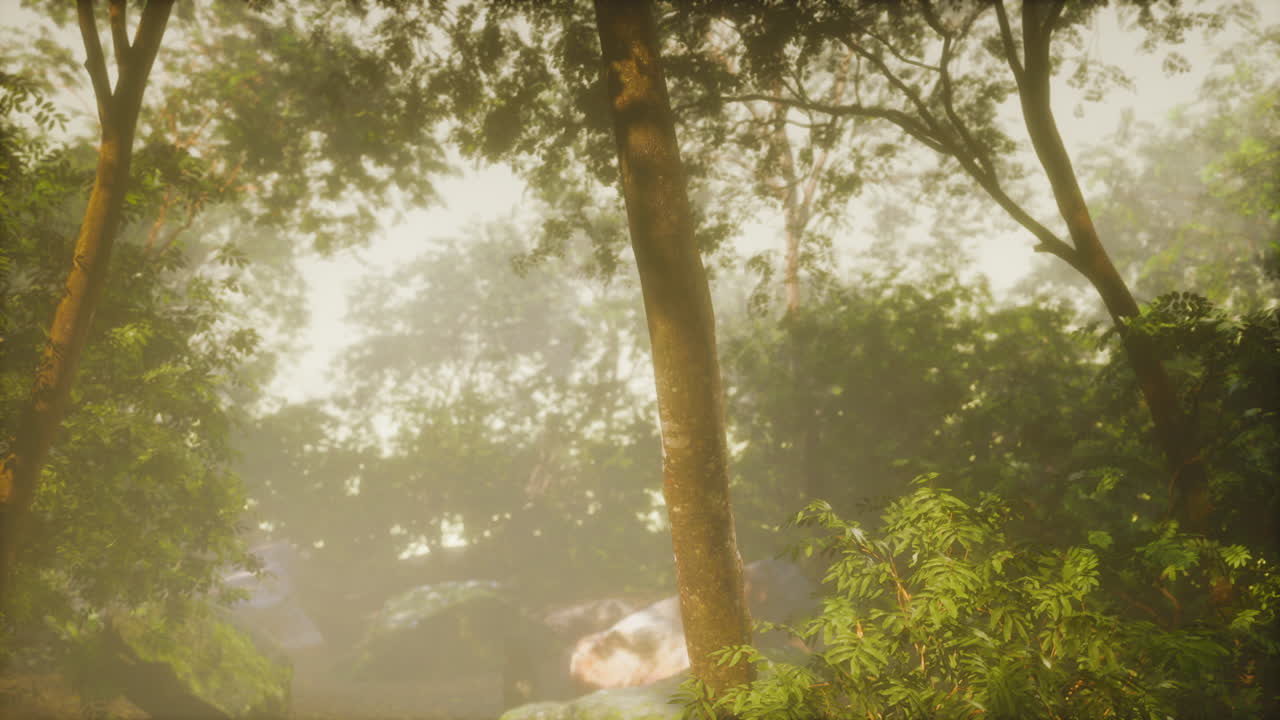 jardín tropical al aire libre con árboles y plantas de hojas