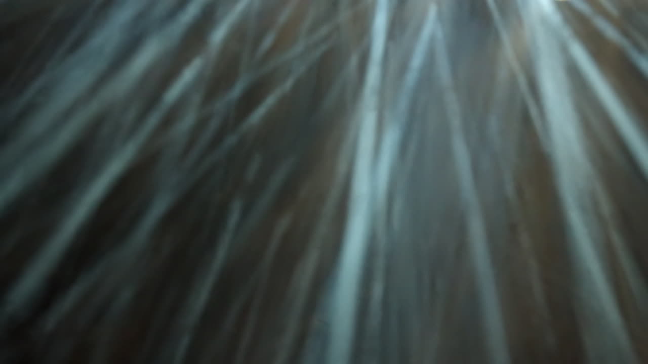 los rayos de luz de las bolas de discoteca se reflejan y bailan en la oscuridad, fondo