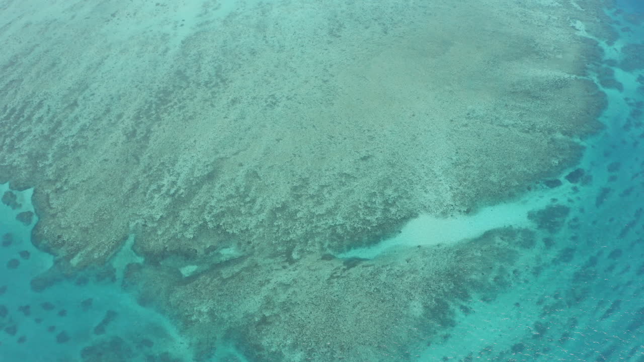 산호초 공중 사진