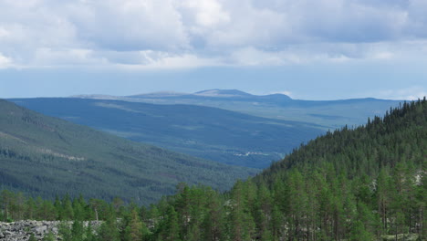 Timelapse-of-sunlight-dancing-over-green-spruce-forest-in-Jotunheimen,-Norway