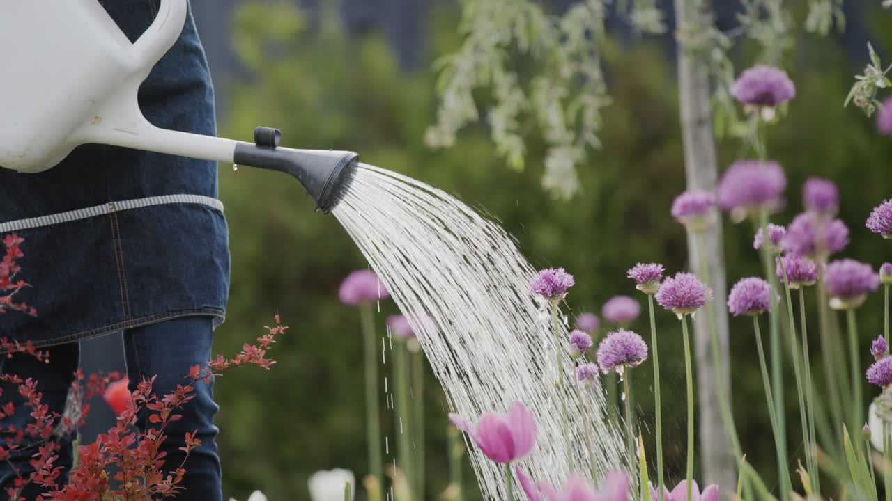 Watering flowers in the garden from a watering can