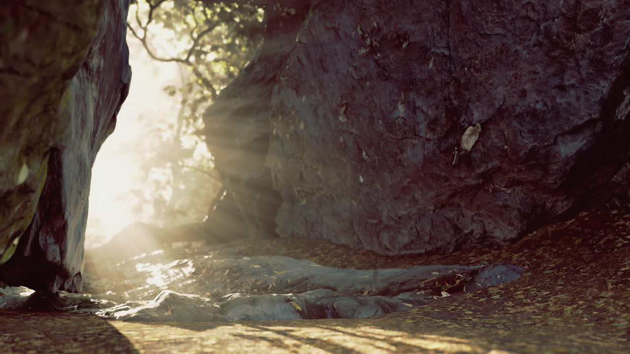 Sunlight filtering through rocks in a serene forest setting during the morning
