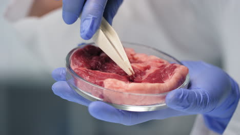 examining lab-grown meet with tweezers