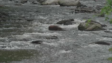 The-Wissahickon-Creek,-flowing-over-rocks-and-stones