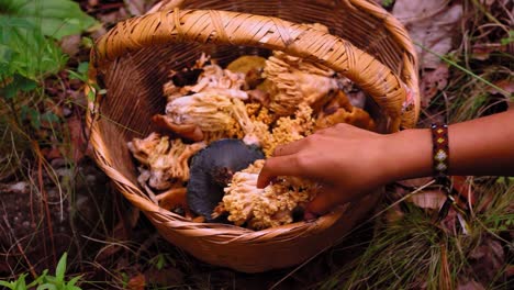 unrecognizable woman putting mushroom in wicket basket