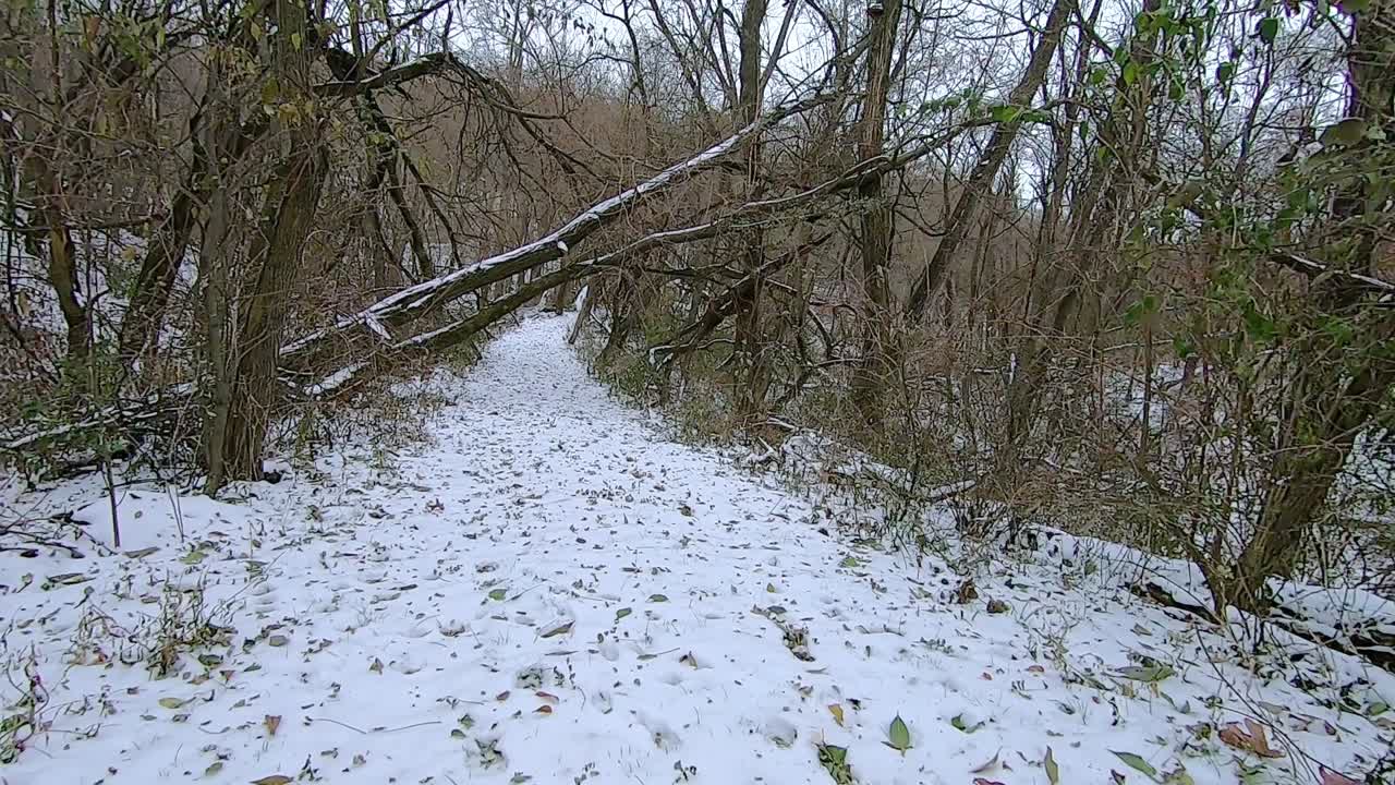 POV from the rear of off road vehicle ATV while driving on a snow covered trail up hill  through the woods on a cloudy afternoon; point of view