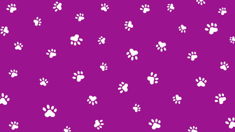 purple background with dog paw prints. looped motion graphics. white silhouette pattern.