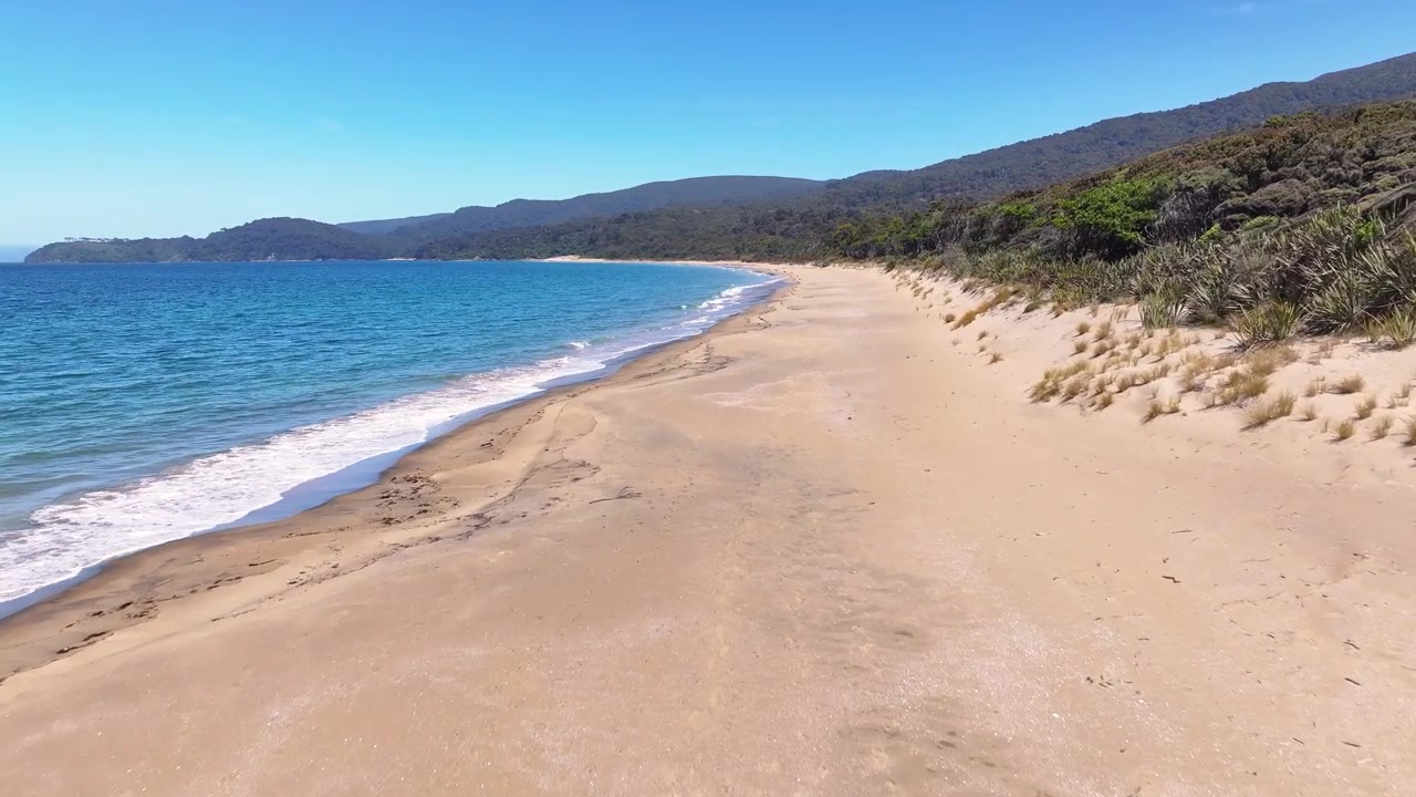 Escursionisti che si godono la vista a Murray Beach. Luogo tropicale remoto, Rakiura. Drone in volo sopra.
