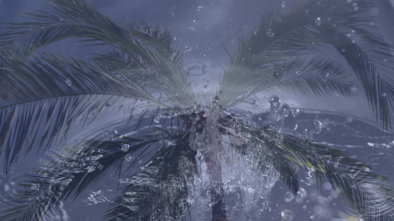Water droplets falling from palm tree against cloudy sky background