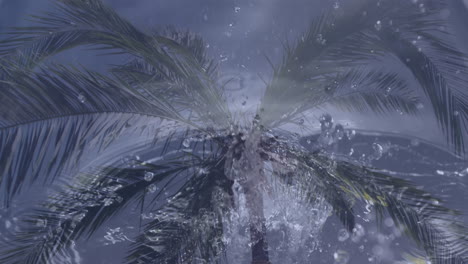 water droplets falling from palm tree against cloudy sky background