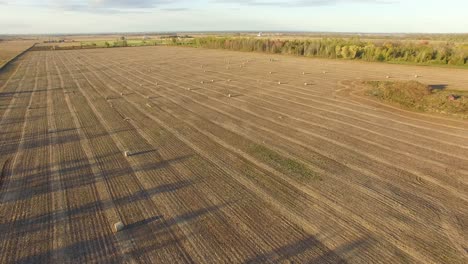 Beautiful-flat-farmland-seen-from-the-air