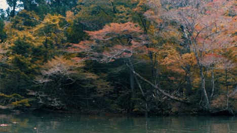 Paisaje-Otoñal-Con-árboles-Y-Hojas