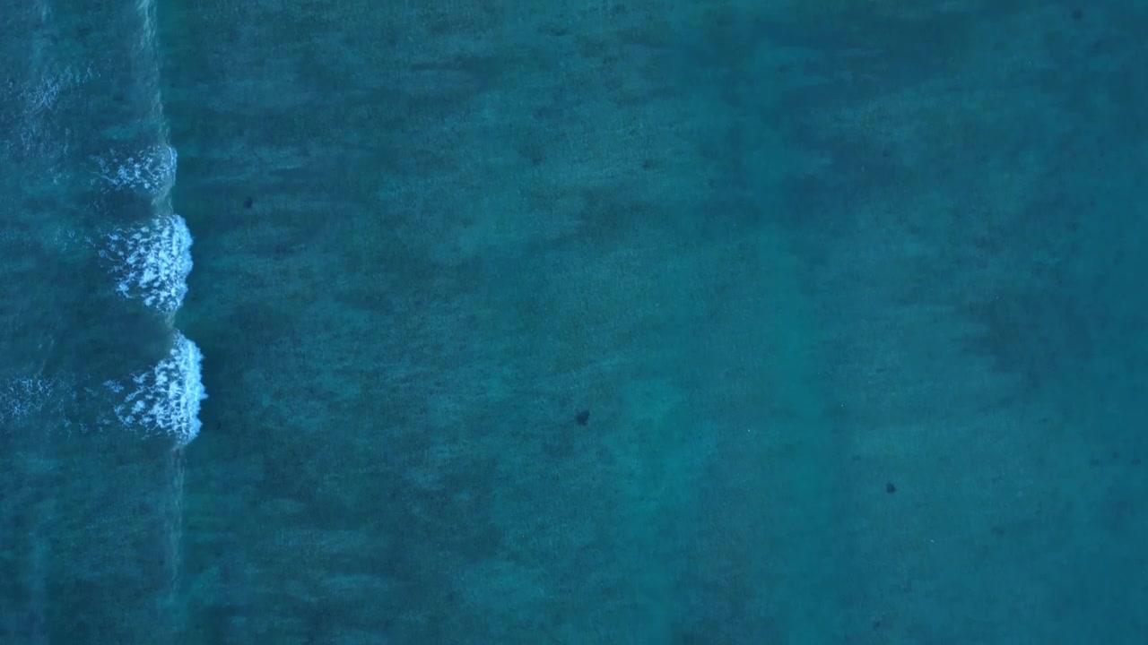 Onde oceaniche che lambiscono dolcemente una spiaggia tropicale sabbiosa con acqua bassa, limpida e turchese. Vista dall'alto di grandi tartarughe marine. Incredibile vista aerea in sorvolo con drone che punta verso il basso.