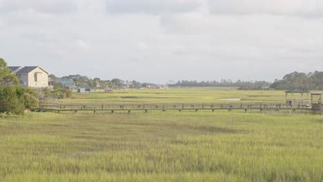 The-wide-shot-of-the-distant-marsh