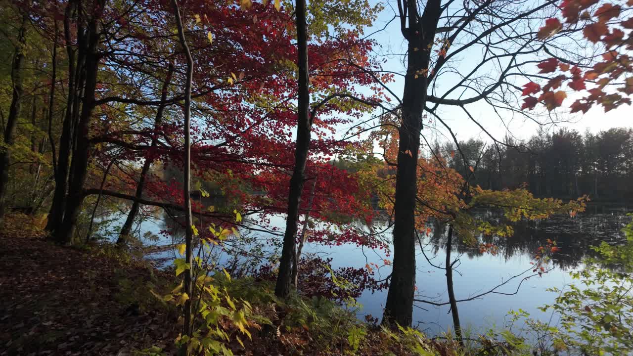 Serene Sunrise With Mirror Reflections Over Calm Lake During Autumn. Sideways Shot