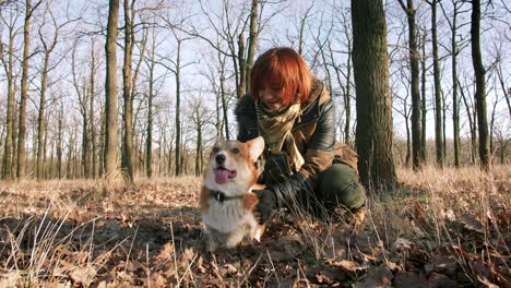 training - girl and dog corgi walking in the park