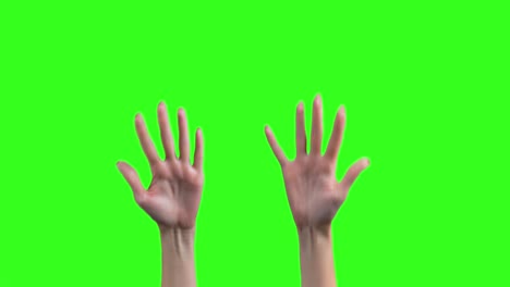 disparos de manos femeninas enojadas sobre un fondo verde