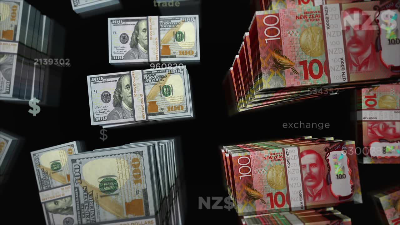 뉴질랜드 달러 화폐 교환 루프 애니메이션