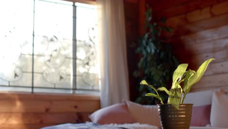 Plant-in-pot-on-table-over-couch-and-window-at-log-cabin,-slow-motion