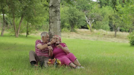 Picnic-Familiar-De-Fin-De-Semana-En-El-Parque.-Pareja-De-Ancianos-Sentados-Cerca-De-Un-árbol,-Comiendo-Frutas,-Bebiendo-Vino