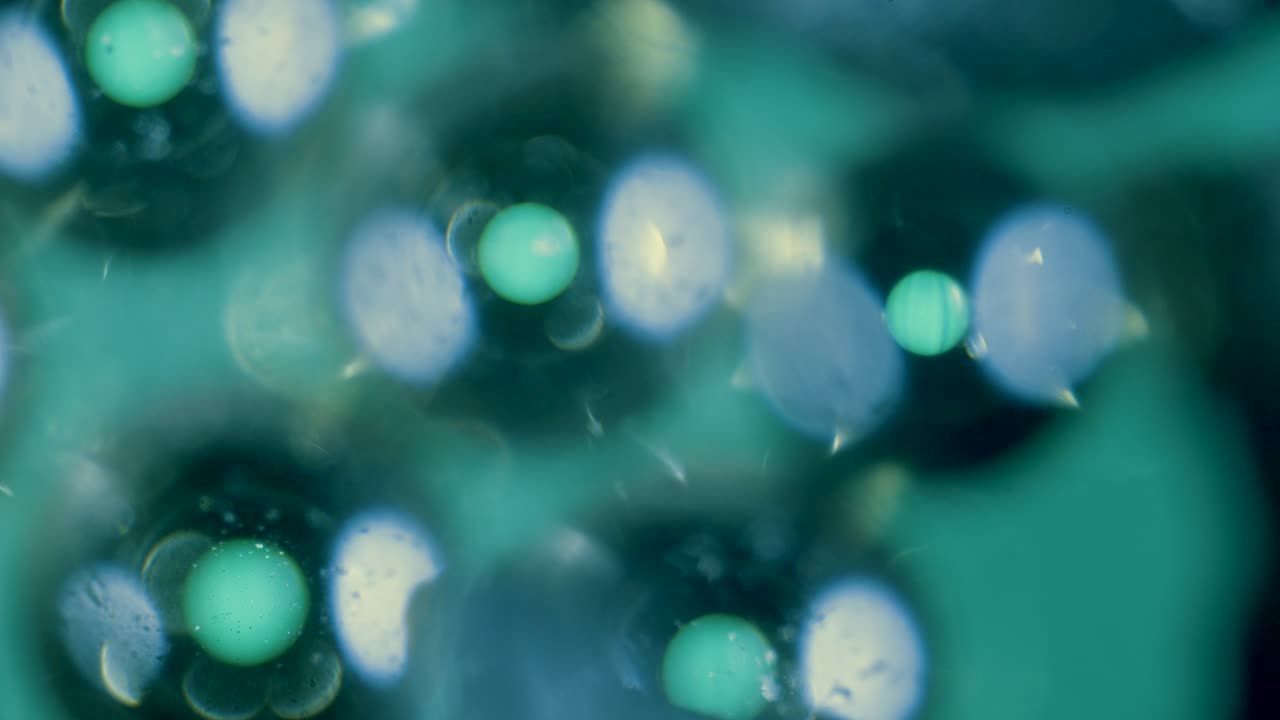 Ion-exchange resin beads in water filter between activated charcoal granules under microscope