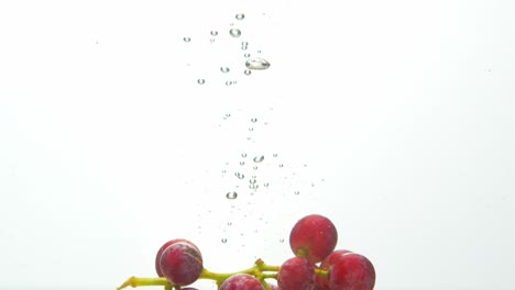 Cluster-of-grapes-dropped-into-liquid-with-rising-air-bubbles,-isolated-white-background