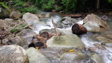 Pfanne-Fließender-Wildwasserstromschnellen-Im-Fluss-über-Felsen,-Felsbrocken-Und-Eingeklemmten-Baumstämmen-Im-Dschungel-Von-El-Nido,-Palawan,-Philippinen