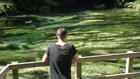 Young-caucasian-male-from-behind-looking-at-Putaruru-Blue-Spring-in-New-Zealand