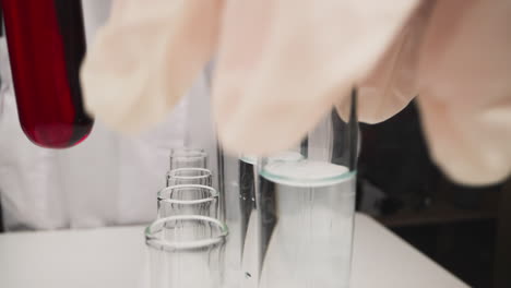 student replaces test tubes on rack in chemical laboratory