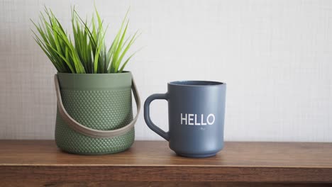 cozy shelf decor with plant and mug