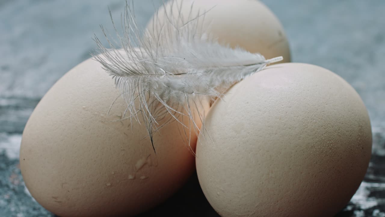 달은 신선하고, 집에서 만들어지고, 고기입니다.