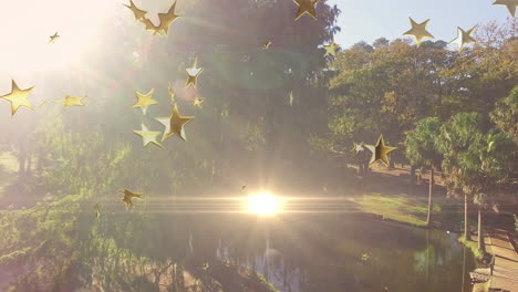 golden stars animation over serene park landscape with pond and trees