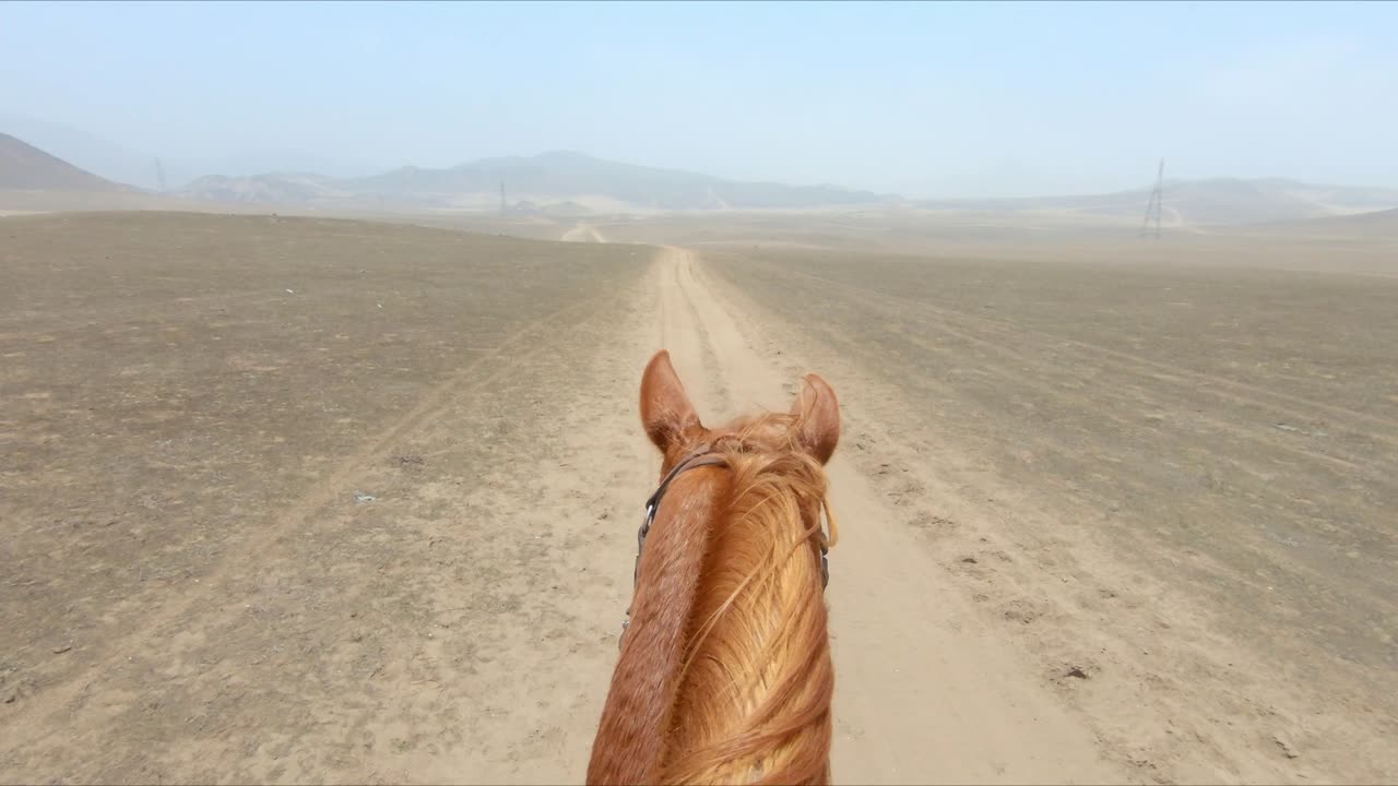 caballo castaño montando pov a través de tierras desiertas en un día soleado