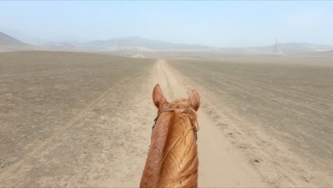 chestnut horse riding pov through deserted land on a sunny day