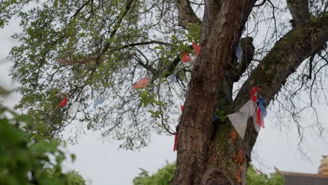 Wide-shot-of-celebratory-bunting-caught-in-a-tree,-still-blowing-in-the-wind