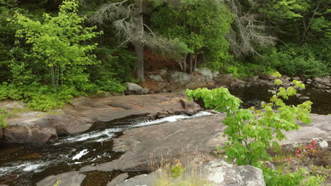 Reveal-Shot-of-a-Small-Creek-in-North-America,-Dolly-Aerial-Shot