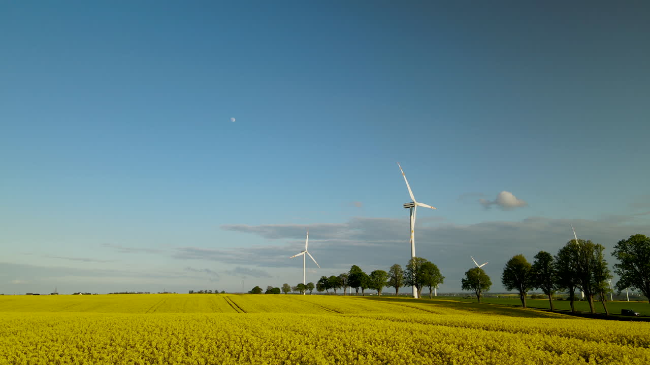 낮은 수준의 공중 - lebcz 폴란드의 유채밭에서 전기를 생산하는 풍력 터빈