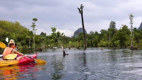 people kayaking through scenic waters in krabi