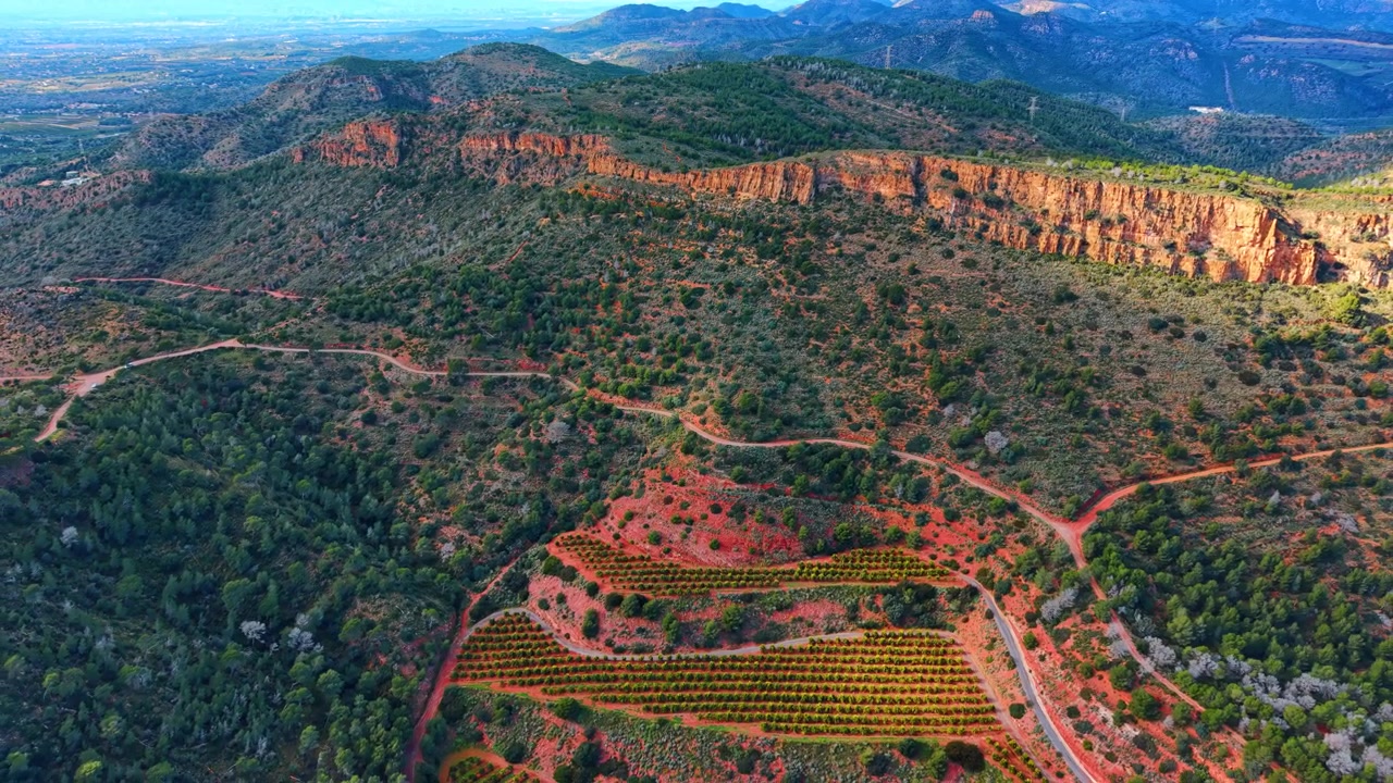 Estrada sinuosa através de laranjais perto de falésias da montanha. Imagem aérea de estrada rural sinuosa passando por pomares e floresta ao lado de rochas vermelhas.