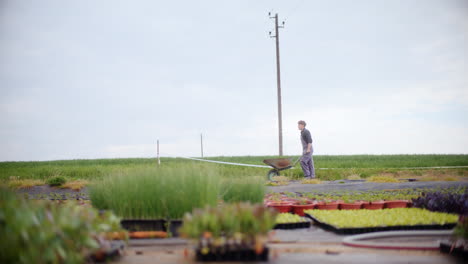 farmer with wheelbarrow walking in farm