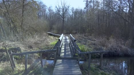 Flug-über-Eine-Kleine-Brücke-In-Einem-Nationalpark