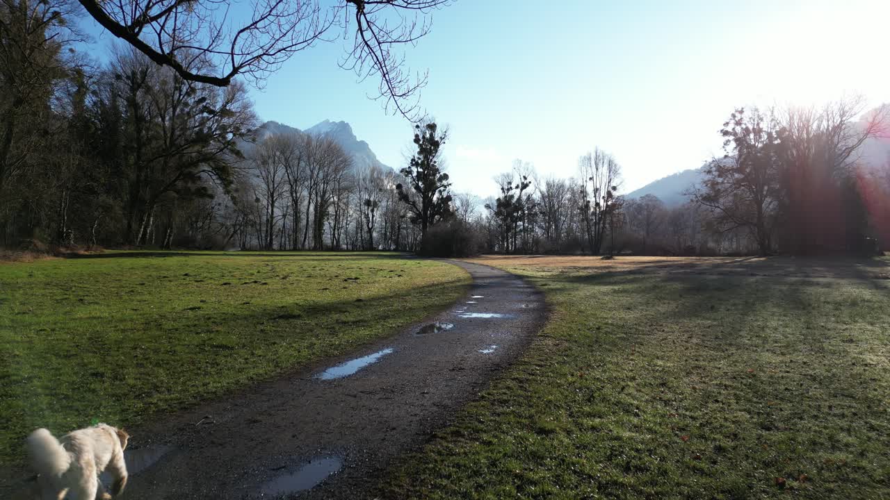 배경 에 알프스 산맥 이 있는 은 길 의