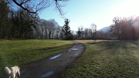 Aufnahme-Eines-Schmalen-Pfades-Mit-Alpen-Im-Hintergrund