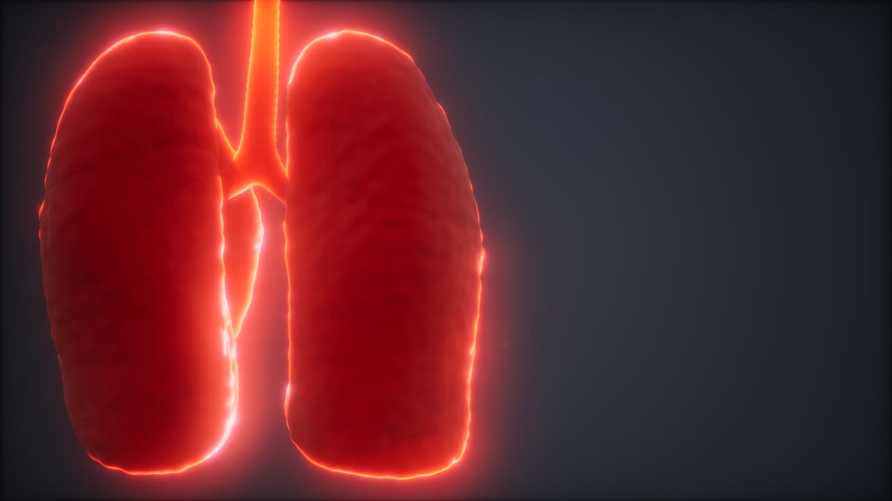 animación médicamente precisa del pulmón humano en bucle 3d