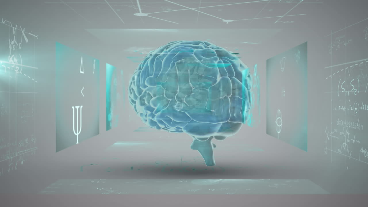 스크린에서 디지털 데이터 처리를 통해 인간의 뇌가 회전하는 애니메이션