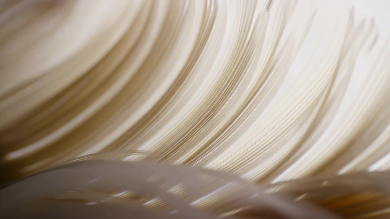 A mesmerizing close-up of flowing and moving hair, showcasing its soft and elegant texture with a warm beige and brown color palette. This high-quality video is beauty and fashion.