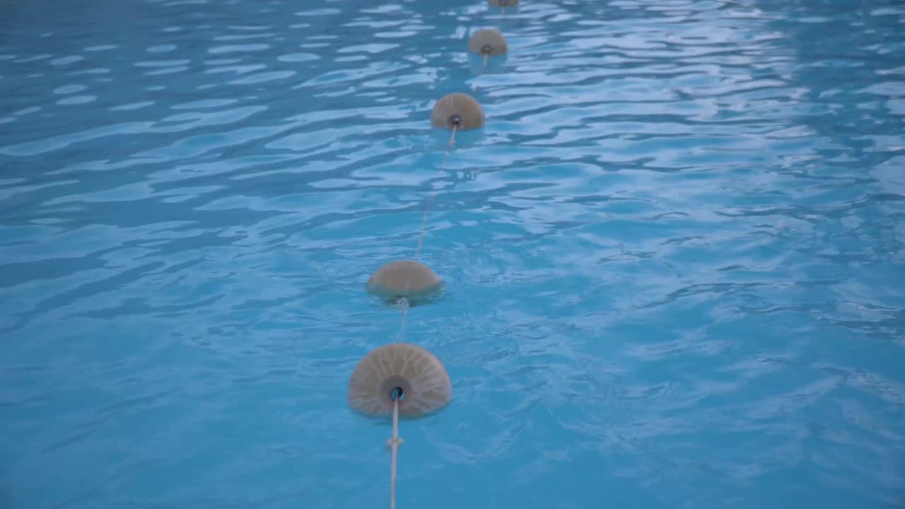 수영장 배경 루프 수영장 물 추상적인 배경