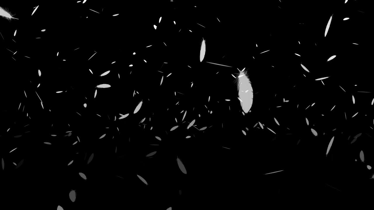 털이 날아다니는 입자 모션 그래픽
