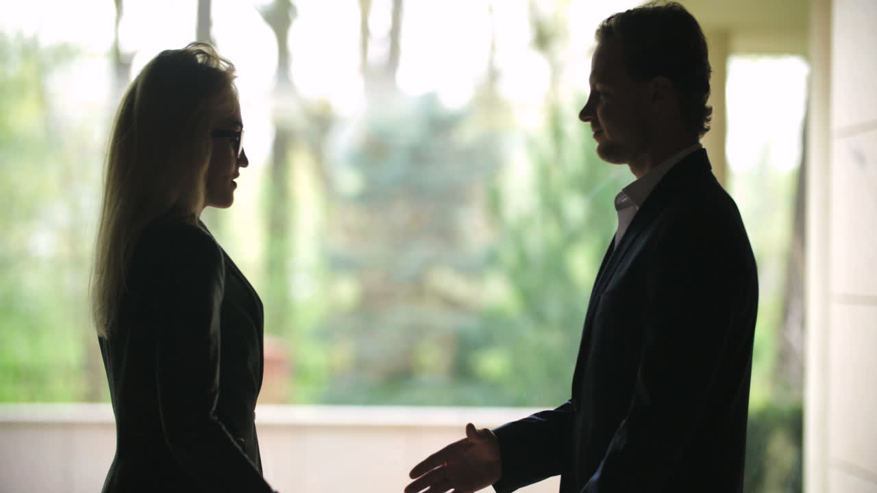 악수하는 성공적인 사업 사람들의 실루엣